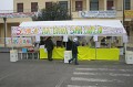 Carnevale 2011 (10)